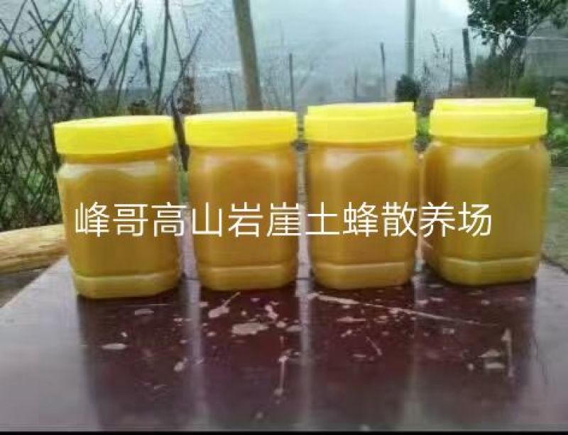 湖南湘西一年只取一次的野岩土蜂蜜