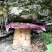 湖南湘西一年只取一次的野岩土蜂蜜