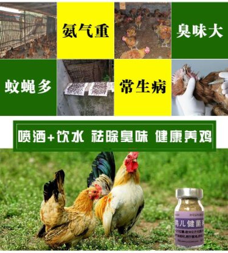鸡儿健养鸡专用益生菌饮水保健液发酵豆渣饲料养鸡调理肠胃