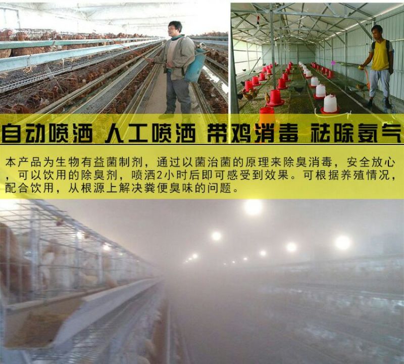 鸡儿健养鸡专用益生菌饮水保健液发酵豆渣饲料养鸡调理肠胃