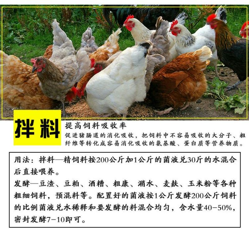 鸡儿健养鸡专用益生菌饮水保健液发酵豆渣饲料养鸡调理肠胃