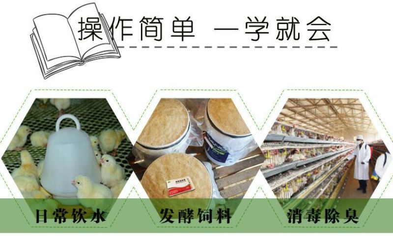 鸡儿健养鸡专用益生菌饮水保健液发酵豆渣饲料养鸡调理肠胃