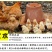 鸡儿健养鸡专用益生菌饮水保健液发酵豆渣饲料养鸡调理肠胃