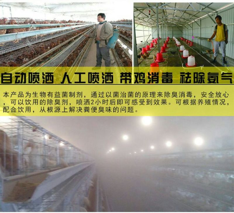 em菌液养鸡益生菌饮水保健液豆渣发酵剂酒糟养鸡圈舍除臭剂