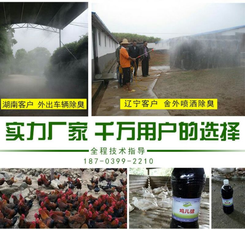 em菌液养鸡益生菌饮水保健液豆渣发酵剂酒糟养鸡圈舍除臭剂