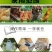em菌液养鸡益生菌饮水保健液豆渣发酵剂酒糟养鸡圈舍除臭剂