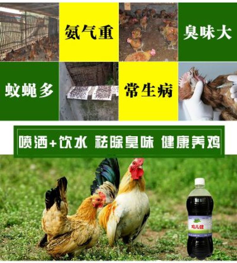 em菌液养鸡益生菌饮水保健液豆渣发酵剂酒糟养鸡圈舍除臭剂