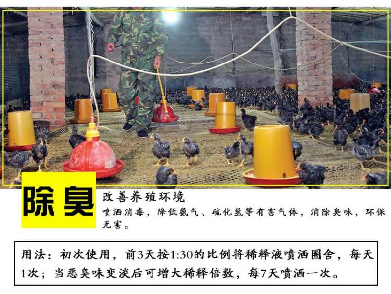 em菌液养鸡益生菌饮水保健液豆渣发酵剂酒糟养鸡圈舍除臭剂