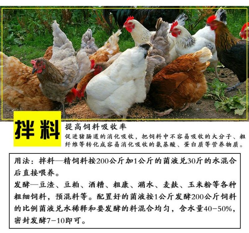 em菌液养鸡益生菌饮水保健液豆渣发酵剂酒糟养鸡圈舍除臭剂