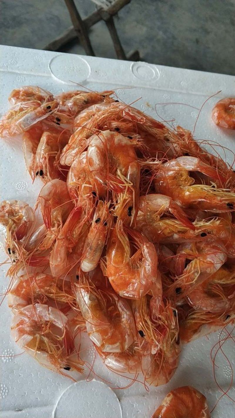 纯淡干无盐一级海水虾干