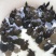 珍珠鳖苗