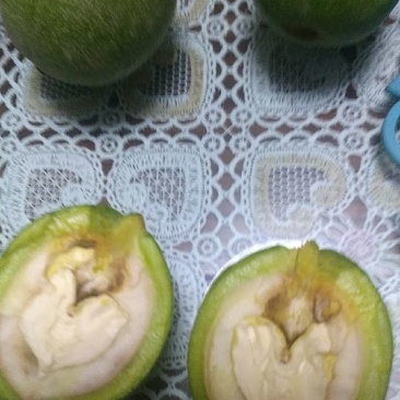 青皮核桃