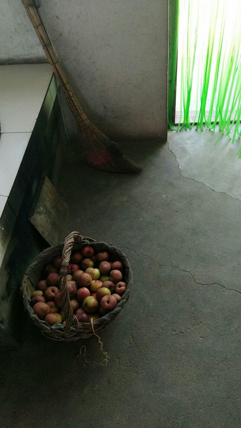 红富士苹果大量供应，有需要的老板与我联系