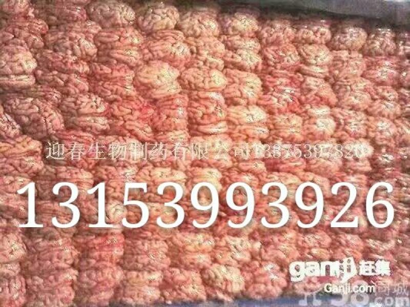 迎春猪副产商贸