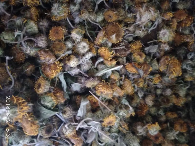 旋覆花