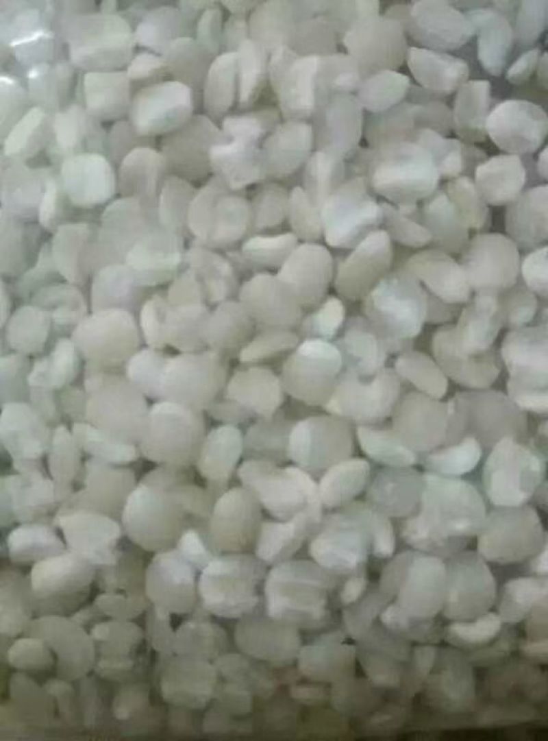 金沙薏米
