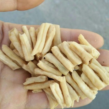 卜豆角