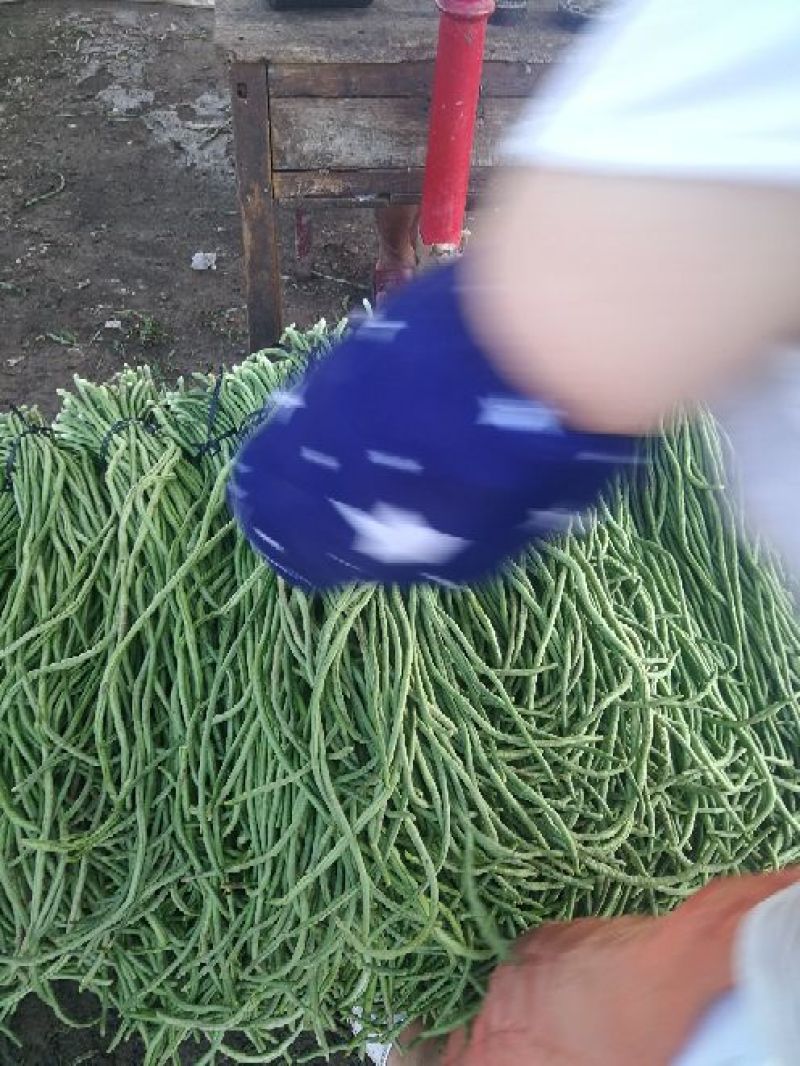 豆角