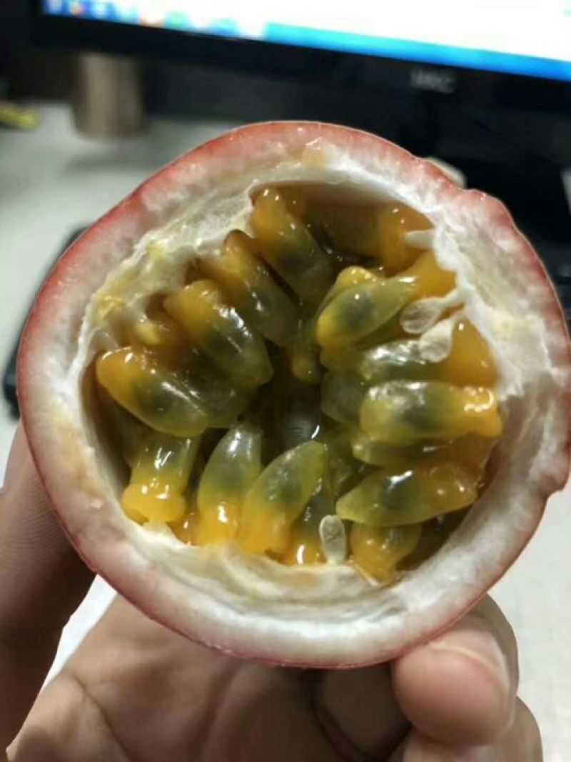 第二批百香果正式上市，欢迎订购，现摘现打包发货，全部走绿