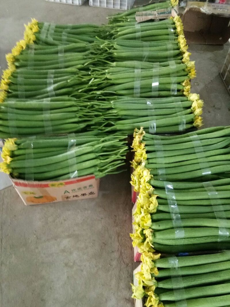 鲜花丝瓜