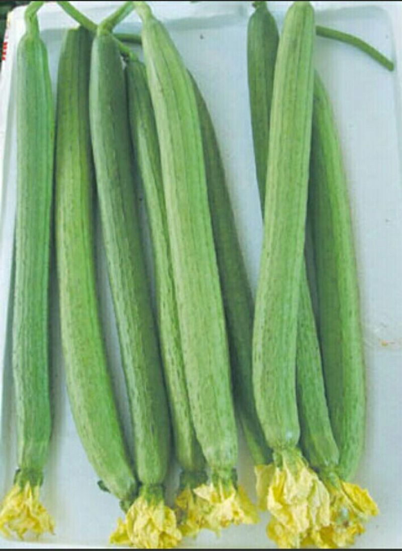 鲜花丝瓜