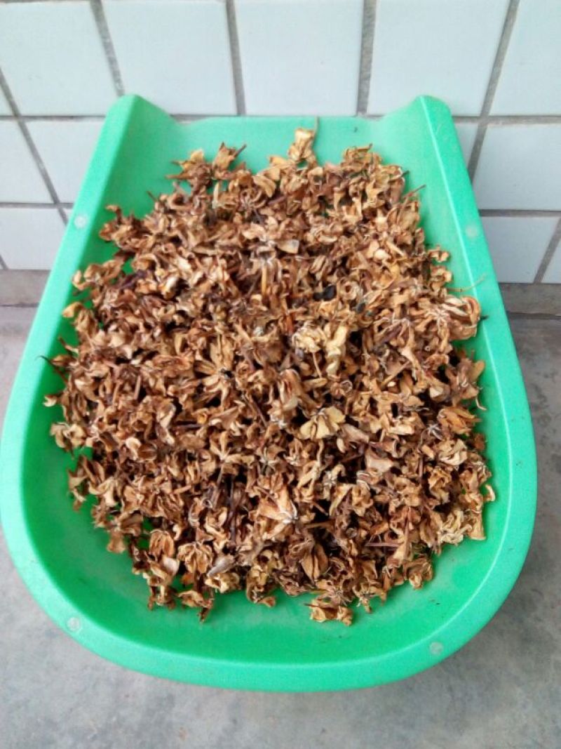 栀子花黄栀子花茶价格68元一斤，