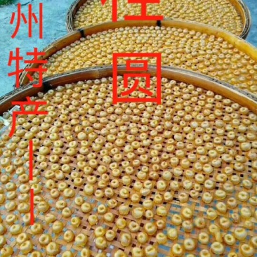 桂园肉，桂园干，荔枝干