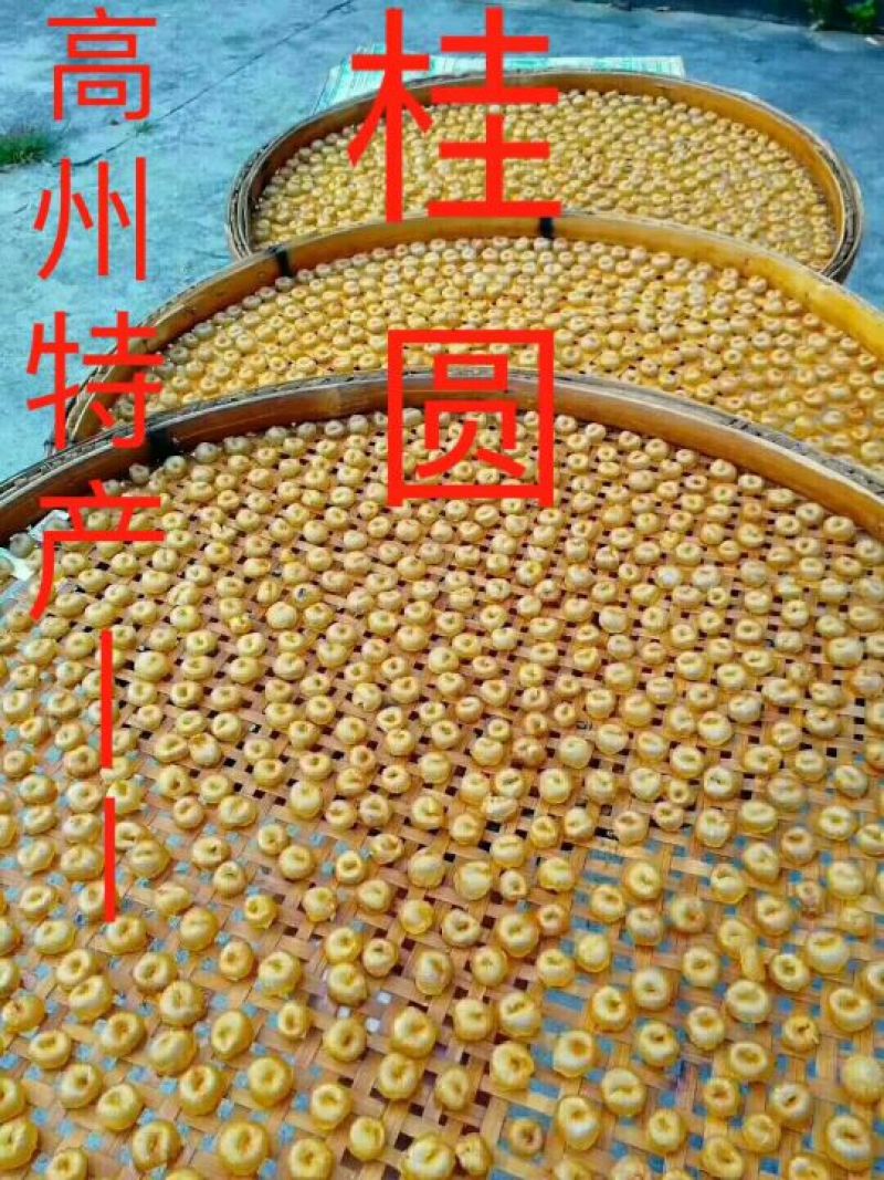 桂园肉，桂园干，荔枝干