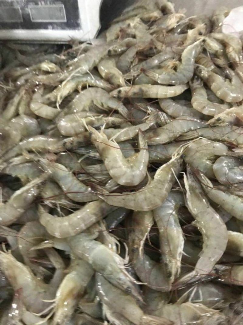 南美白对虾鲜冻南美白连云港南美虾一箱4盒4斤95
