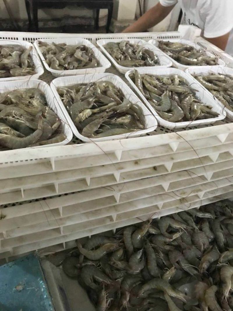 南美白对虾鲜冻南美白连云港南美虾一箱4盒4斤95