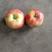 晨阳苹果1.3元每斤，美八1.4元每斤。