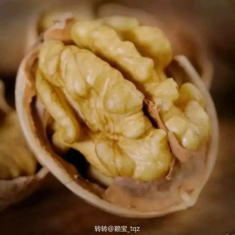 薄皮核桃