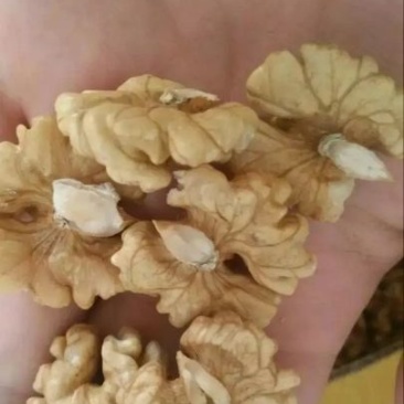 核桃仁一斤起售