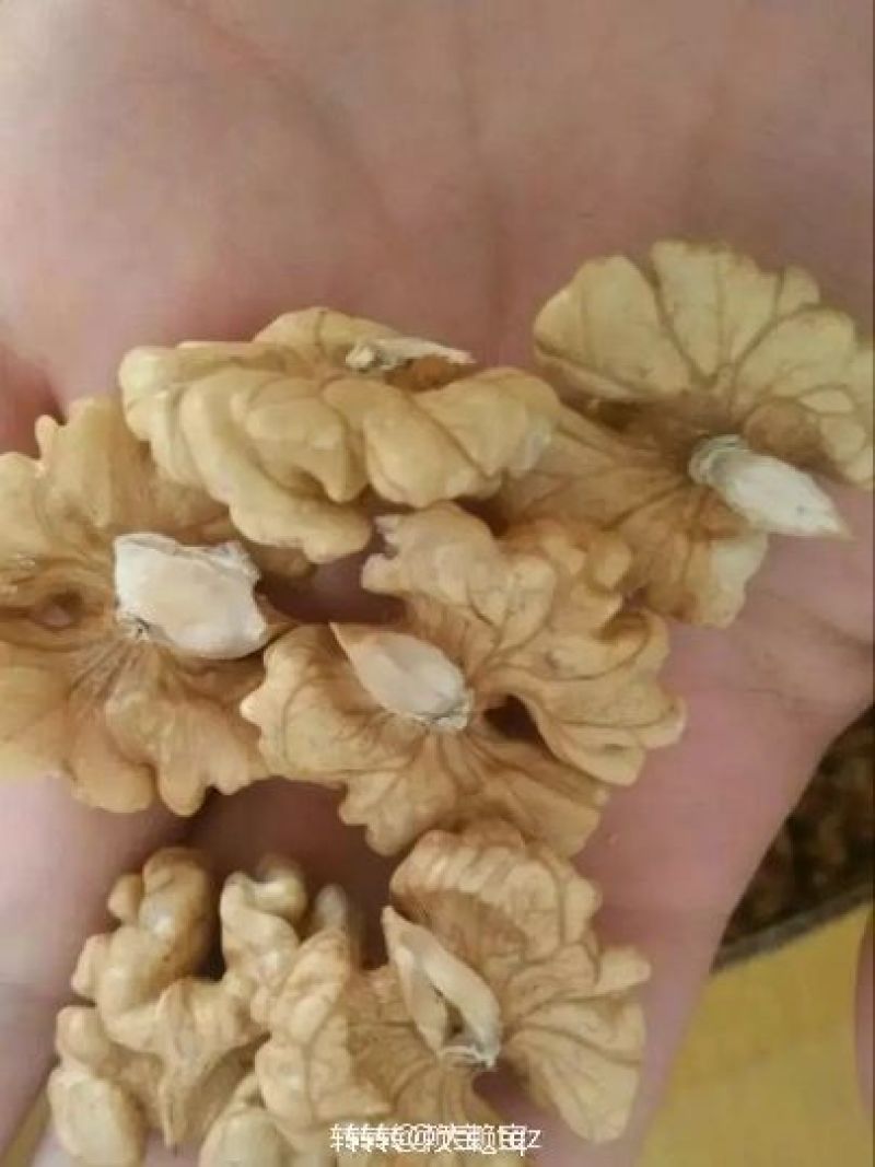 核桃仁一斤起售