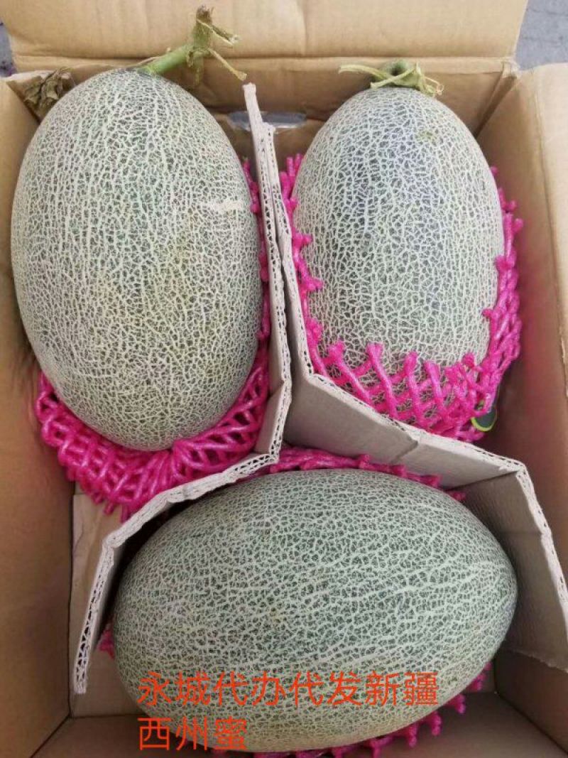 新疆精品西州蜜