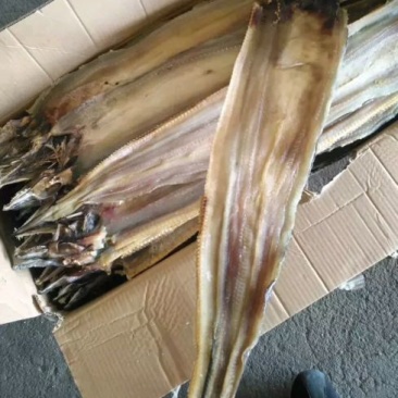 鳗鱼干