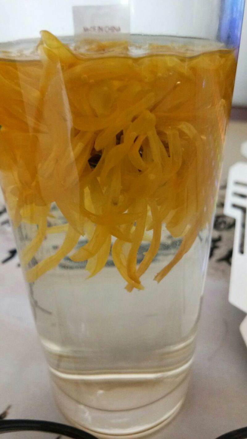 金丝皇菊