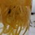 金丝皇菊
