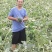 沙漠贝贝南瓜板栗南瓜10斤包邮