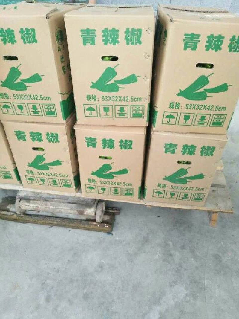 芜湖椒线椒杭椒杠椒产地直销