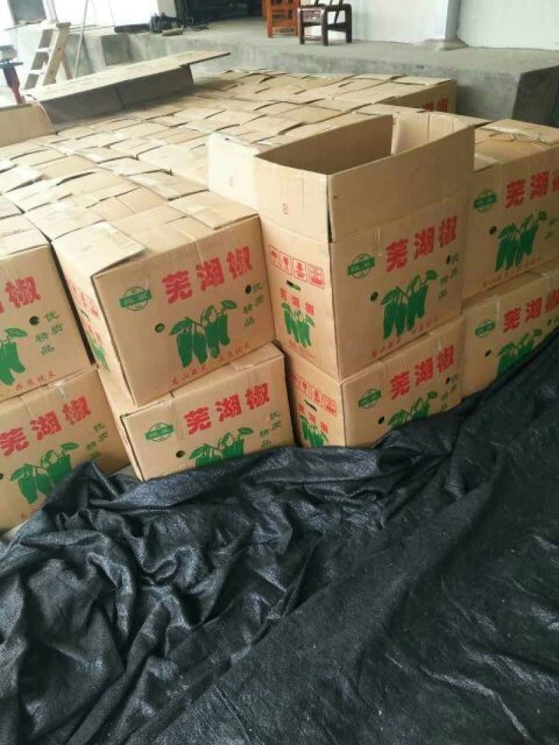 芜湖椒线椒杭椒杠椒产地直销