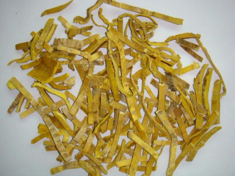 宜宾中药材黄柏皮
