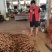 土豆：