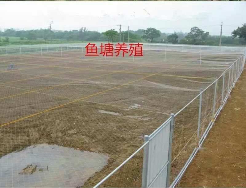 防鸟网使用寿命长一斤出55-60平方，尼龙材质可提供发票