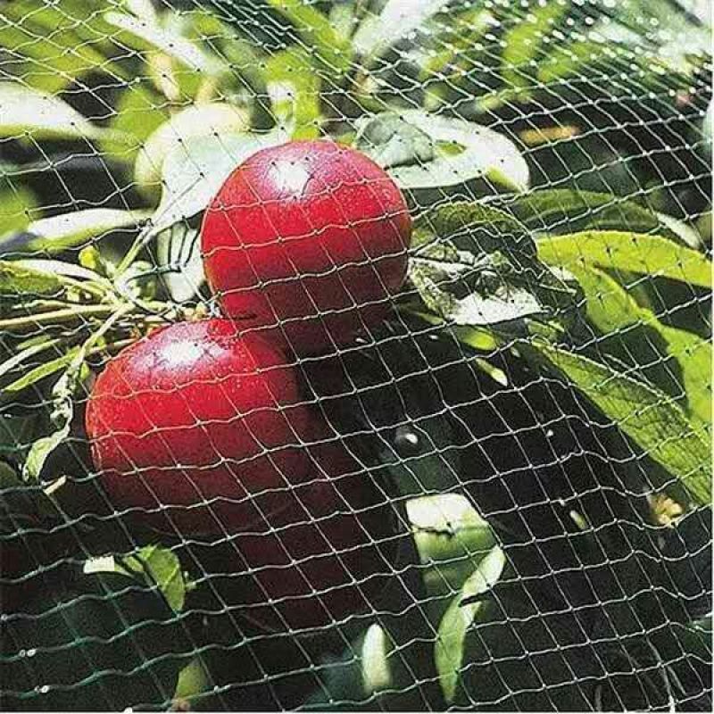 防鸟网使用寿命长一斤出55-60平方，尼龙材质可提供发票