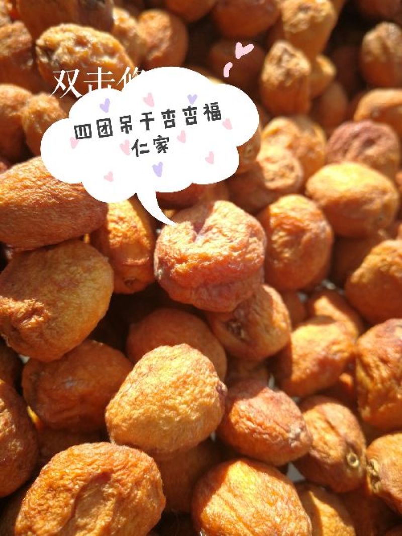 四团吊干杏
