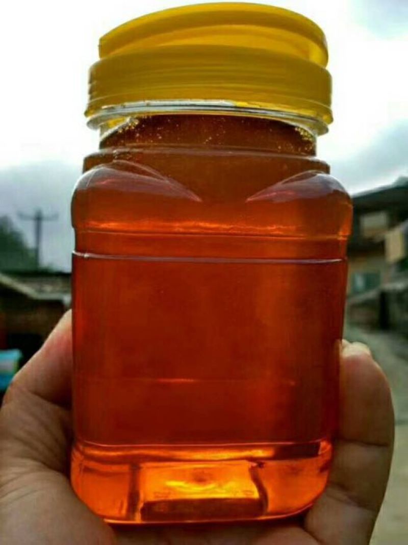 长寿铜鼓“纯”土蜂蜜【树参蜜】