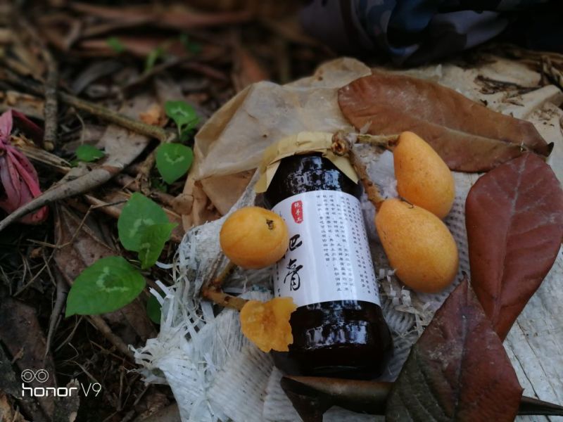 云霄土特产农家自制川贝枇杷膏一斤装止咳润肺抗雾霾