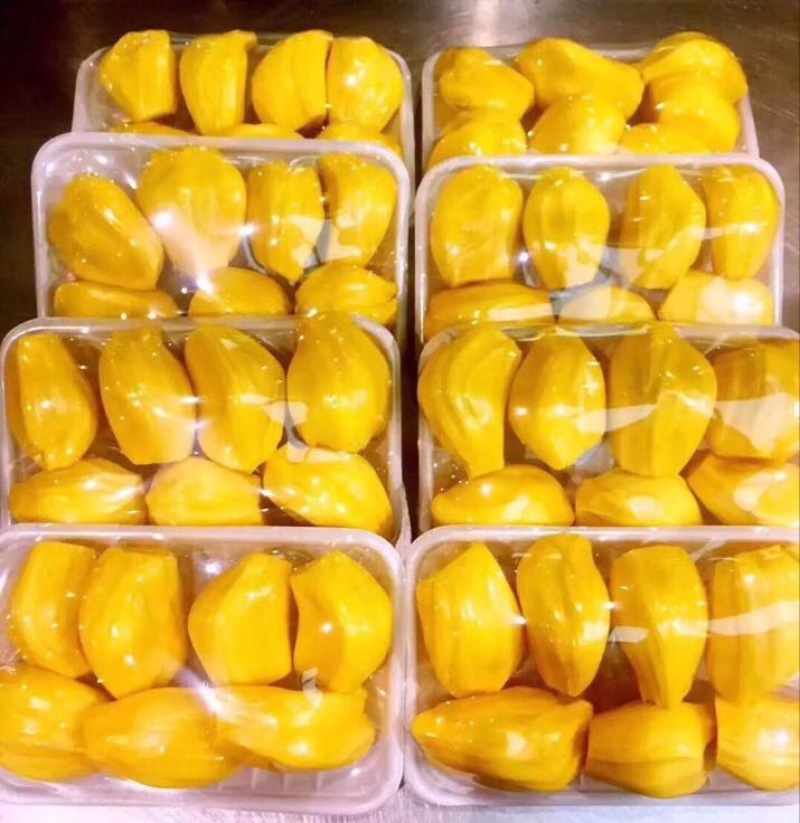 菠萝蜜海南三亚一级菠萝蜜大果出肉率高