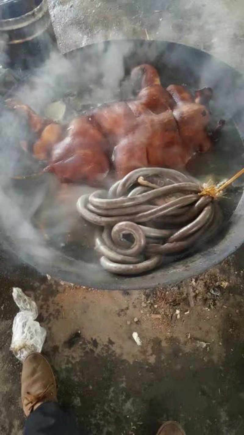环江香猪的本地加工方法